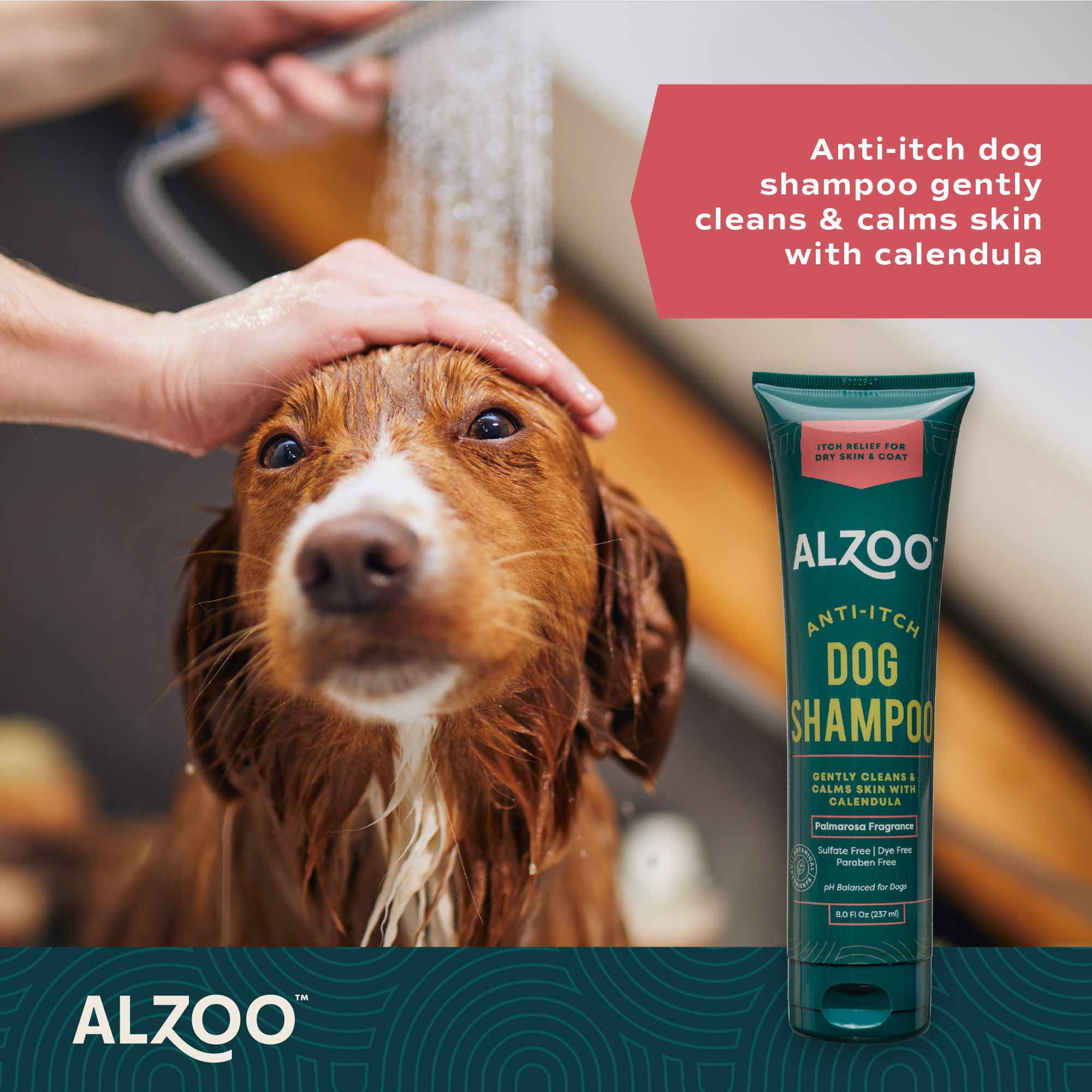 Plant-Based Anti-itching Dog Shampoo with Calendula, 8 oz - Image 3