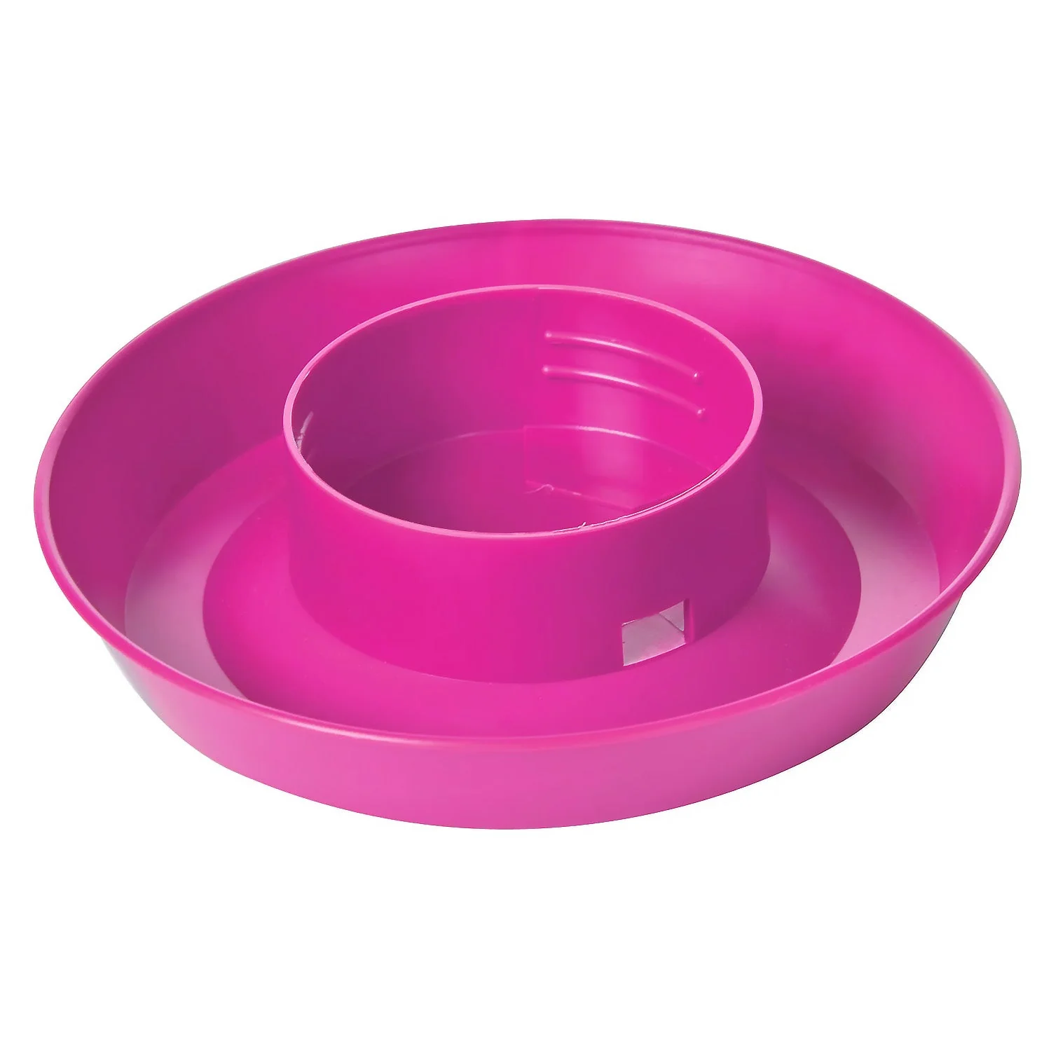 Little Giant 1 Quart Chicken Feeder & Waterer – Plastic Screw-On Jar & Base (Sold Separately) - Image 11