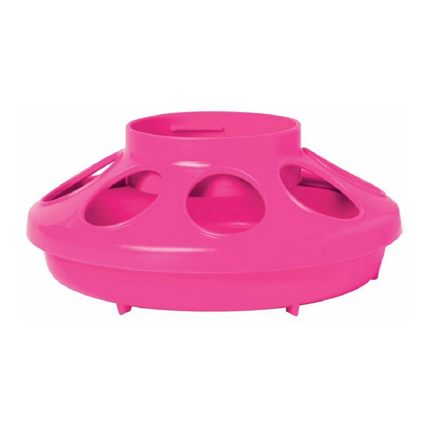 Little Giant 1 Quart Chicken Feeder & Waterer – Plastic Screw-On Jar & Base (Sold Separately) - Image 18