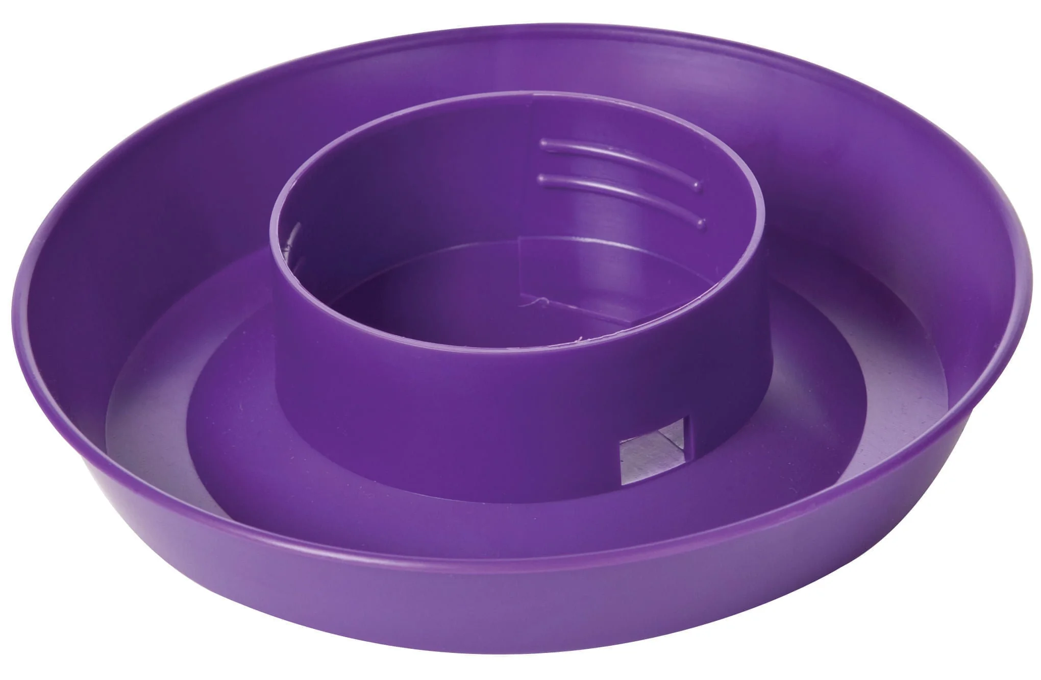 Little Giant 1 Quart Chicken Feeder & Waterer – Plastic Screw-On Jar & Base (Sold Separately) - Image 8