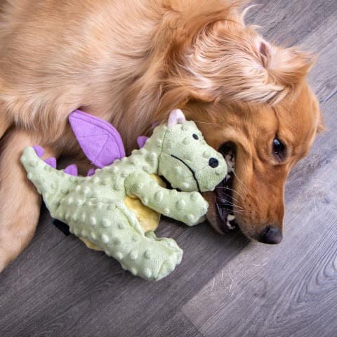 Plush Dragon Dog Toy - Image 22