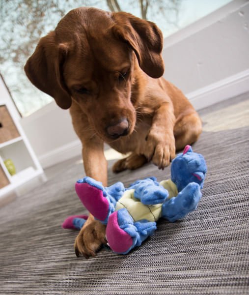 Plush Dragon Dog Toy - Image 7