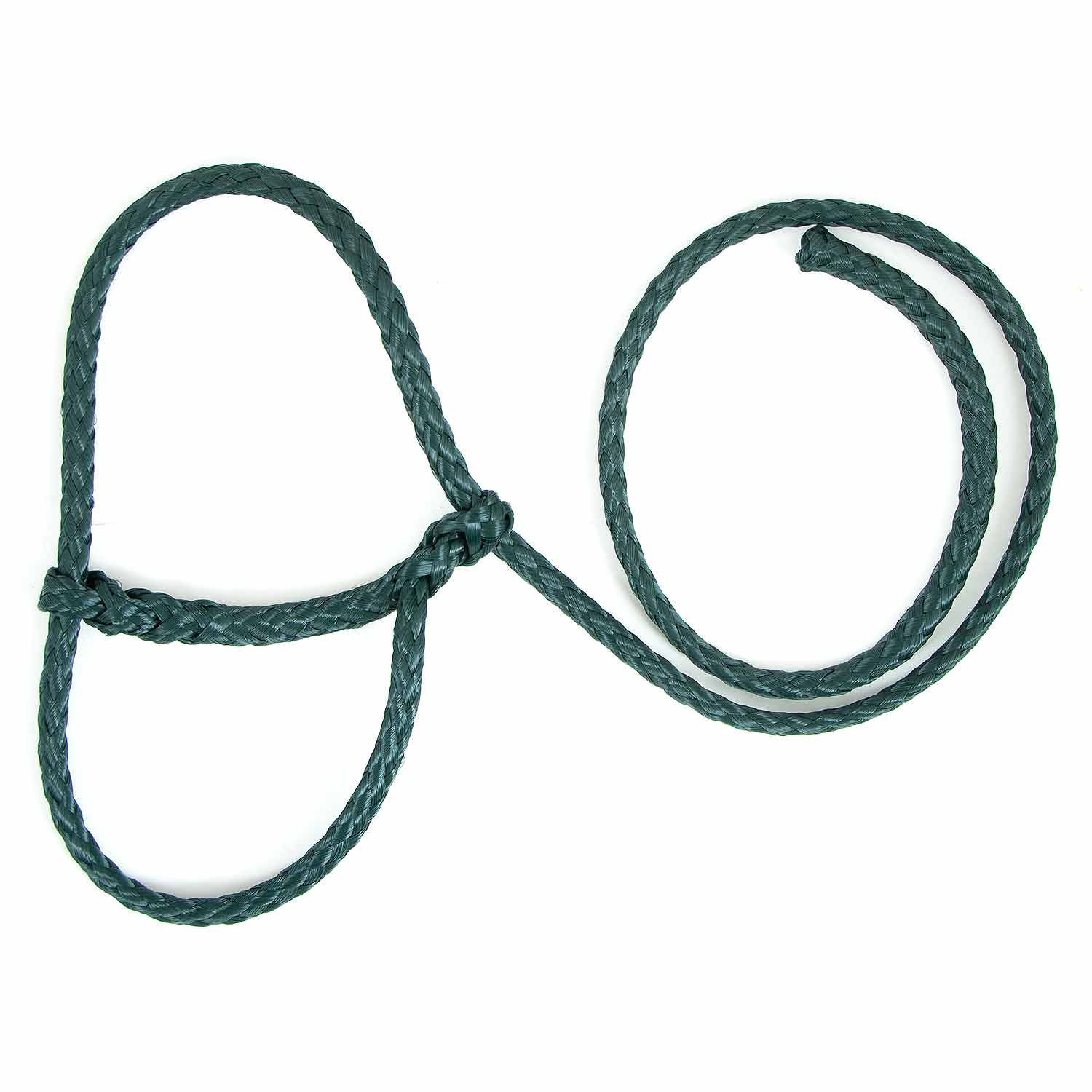 Troyer's Braided Poly Sheep Halter - Image 12