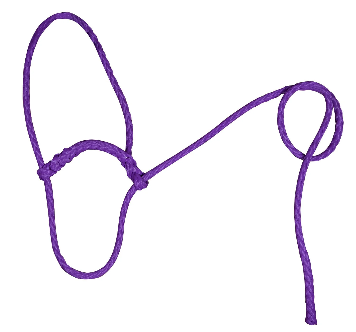 Troyer's Braided Poly Sheep Halter - Image 3