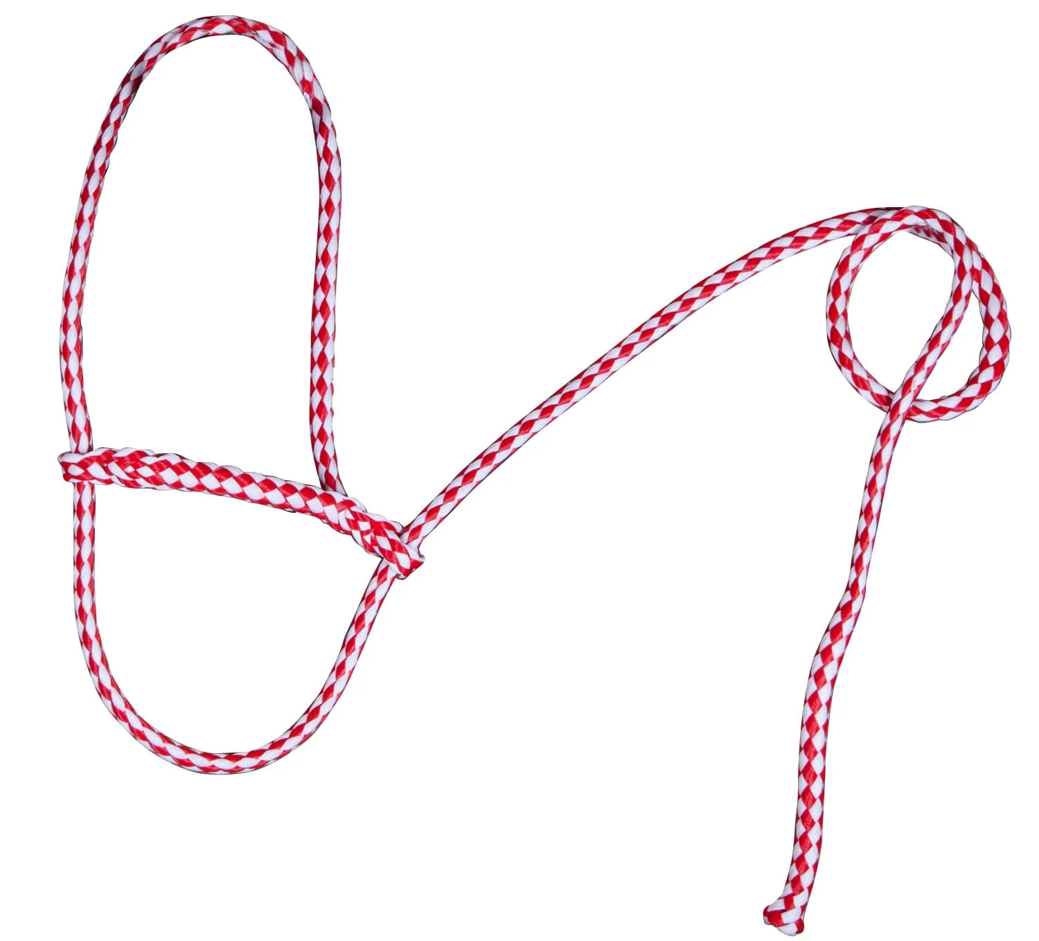 Troyer's Braided Poly Sheep Halter - Image 7