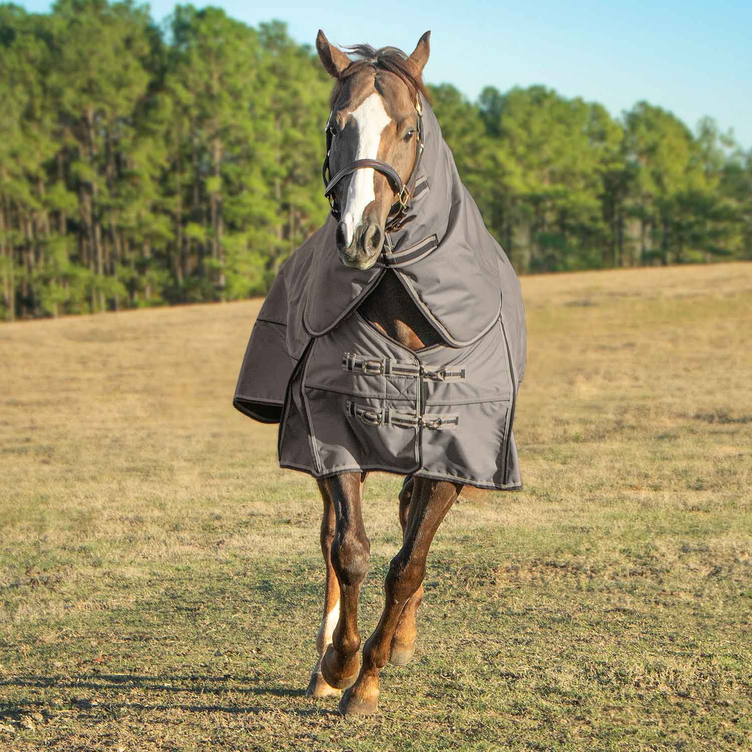 Jeffers Poplar Head "Defense" 1680 Denier Turnout Blanket with Detachable Neck, 360 Gram, Plymouth Brown - Image 4