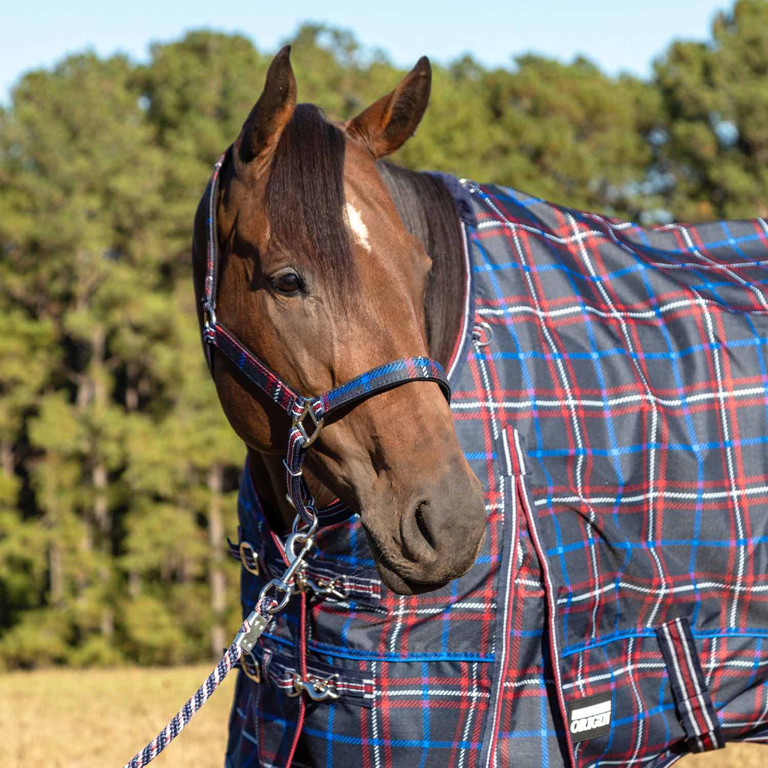 Jeffers Matching Horse Halter & Lead Rope 2 Piece Set, Full Size - Image 23