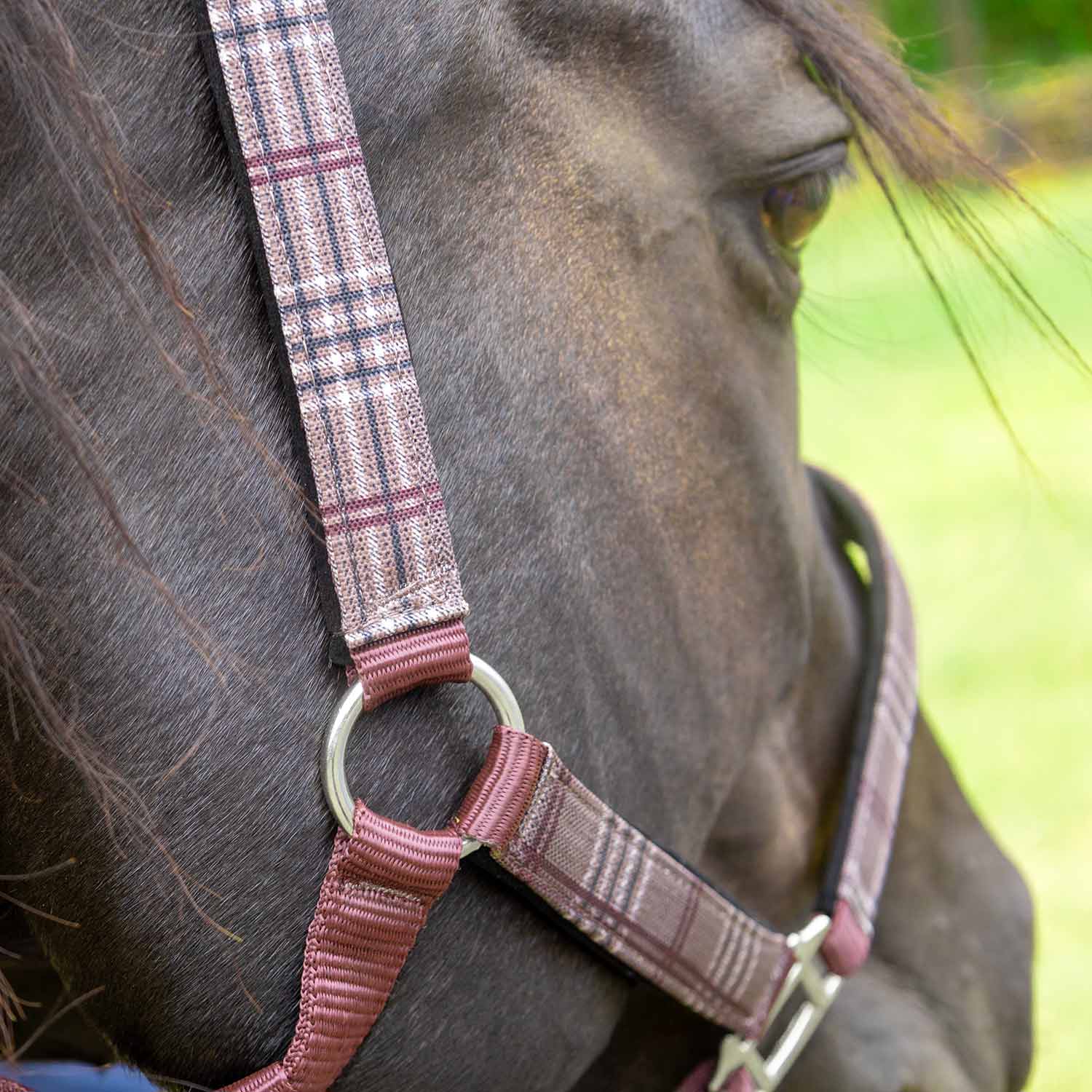 Jeffers Matching Horse Halter & Lead Rope 2 Piece Set, Full Size - Image 30