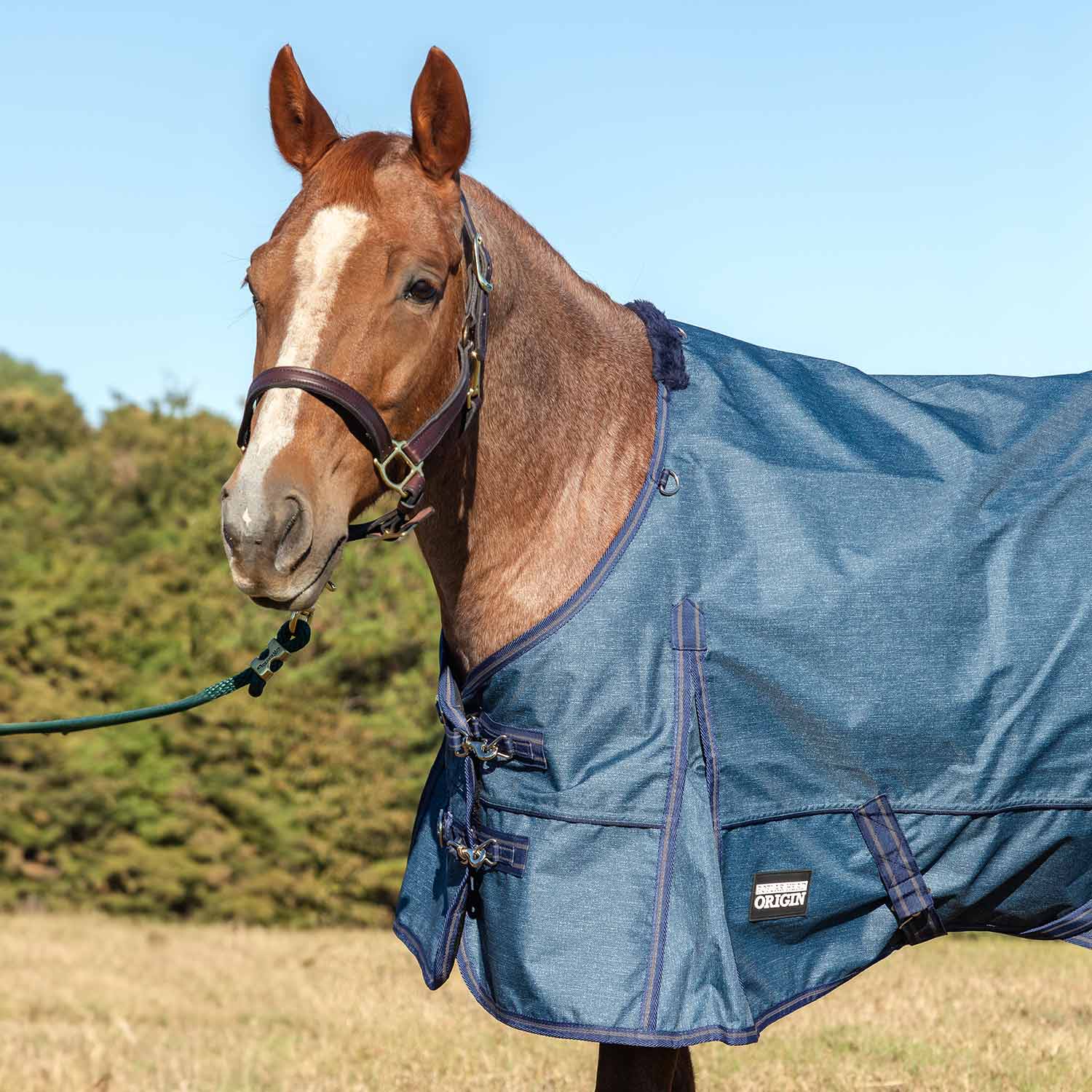 Jeffers Poplar Head "Origin" 600D Medium Weight Turnout Blanket, 240g | Waterproof & Breathable Horse Blanket - Image 27