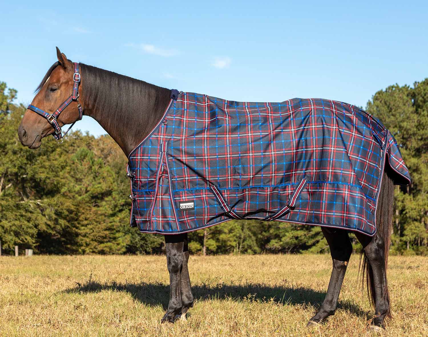 Jeffers Poplar Head "Origin" 600D Turnout Sheet - 0g Lightweight Waterproof Horse Blanket with Standard Neck & Tail Flap - Image 22