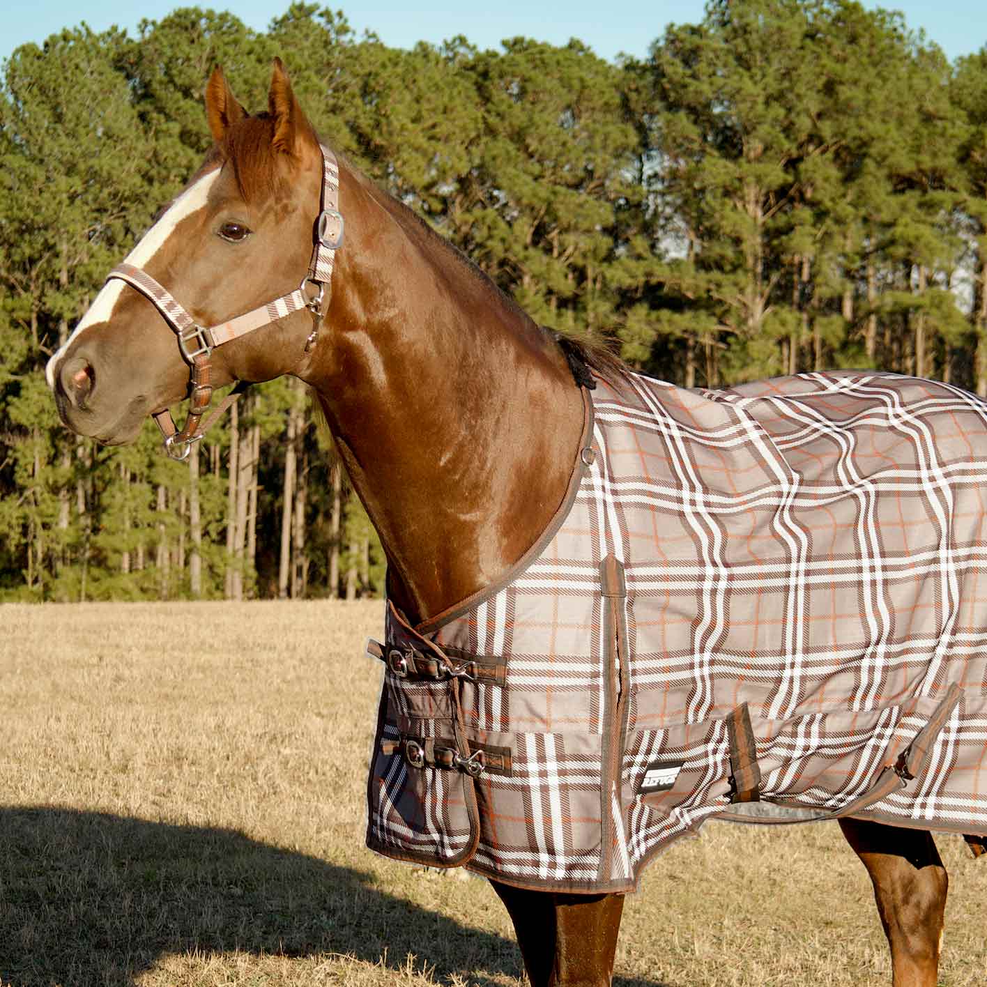Jeffers Poplar Head "Refuge" 1200D Medium Weight Turnout Blanket, 240g - Waterproof, Breathable Horse Blanket - Image 4