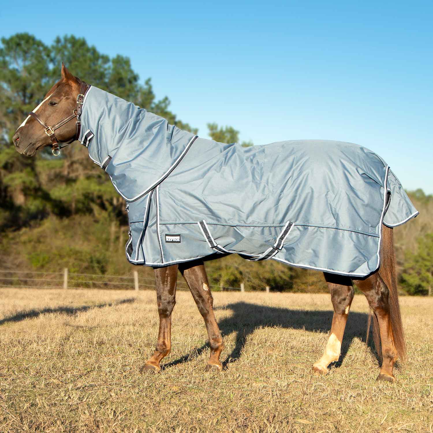 Jeffers Poplar Head "Refuge" 1200 Denier Turnout Blanket with Detachable Neck, 240 Gram, Hamilton Blue