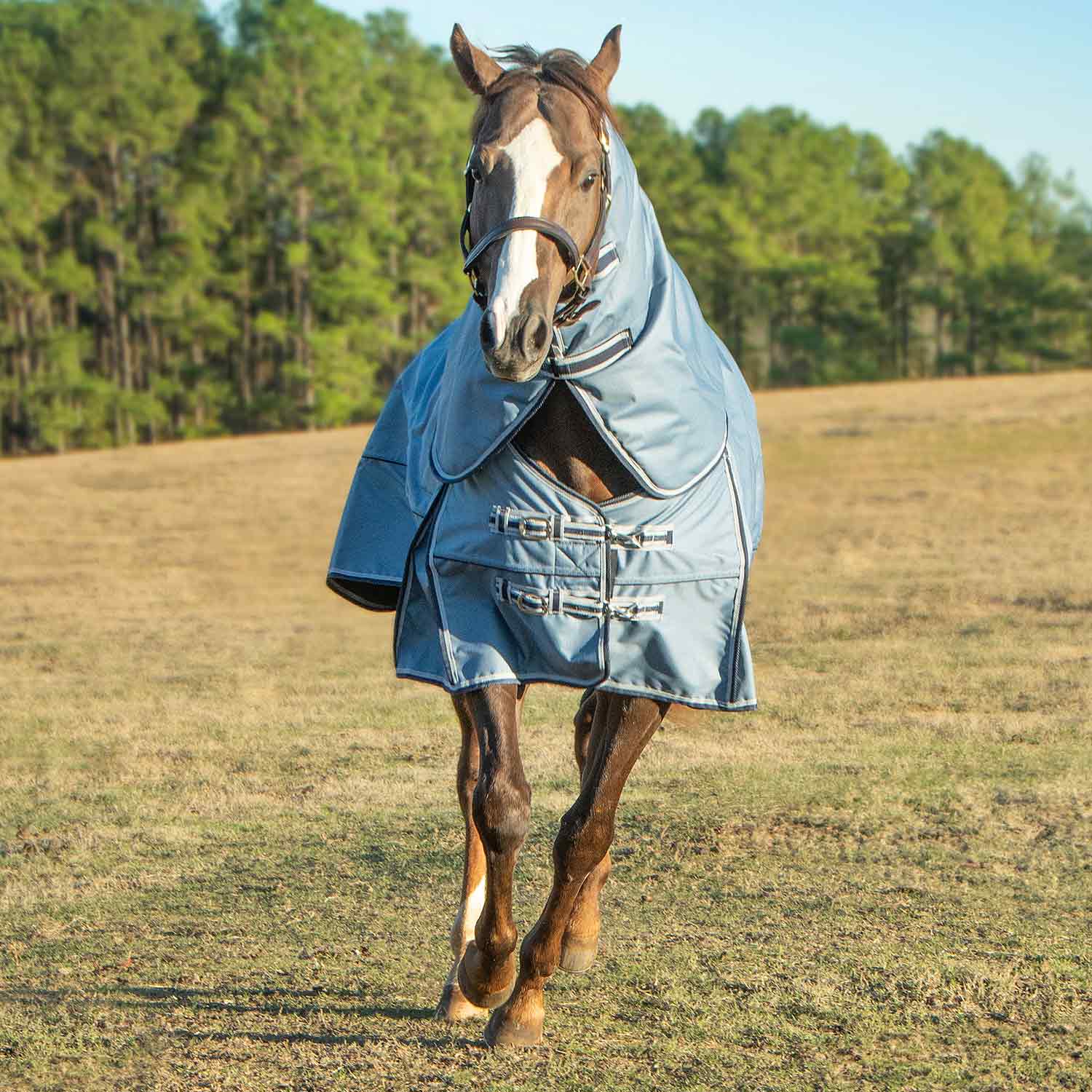 Jeffers Poplar Head "Refuge" 1200 Denier Turnout Blanket with Detachable Neck, 240 Gram, Hamilton Blue - Image 2