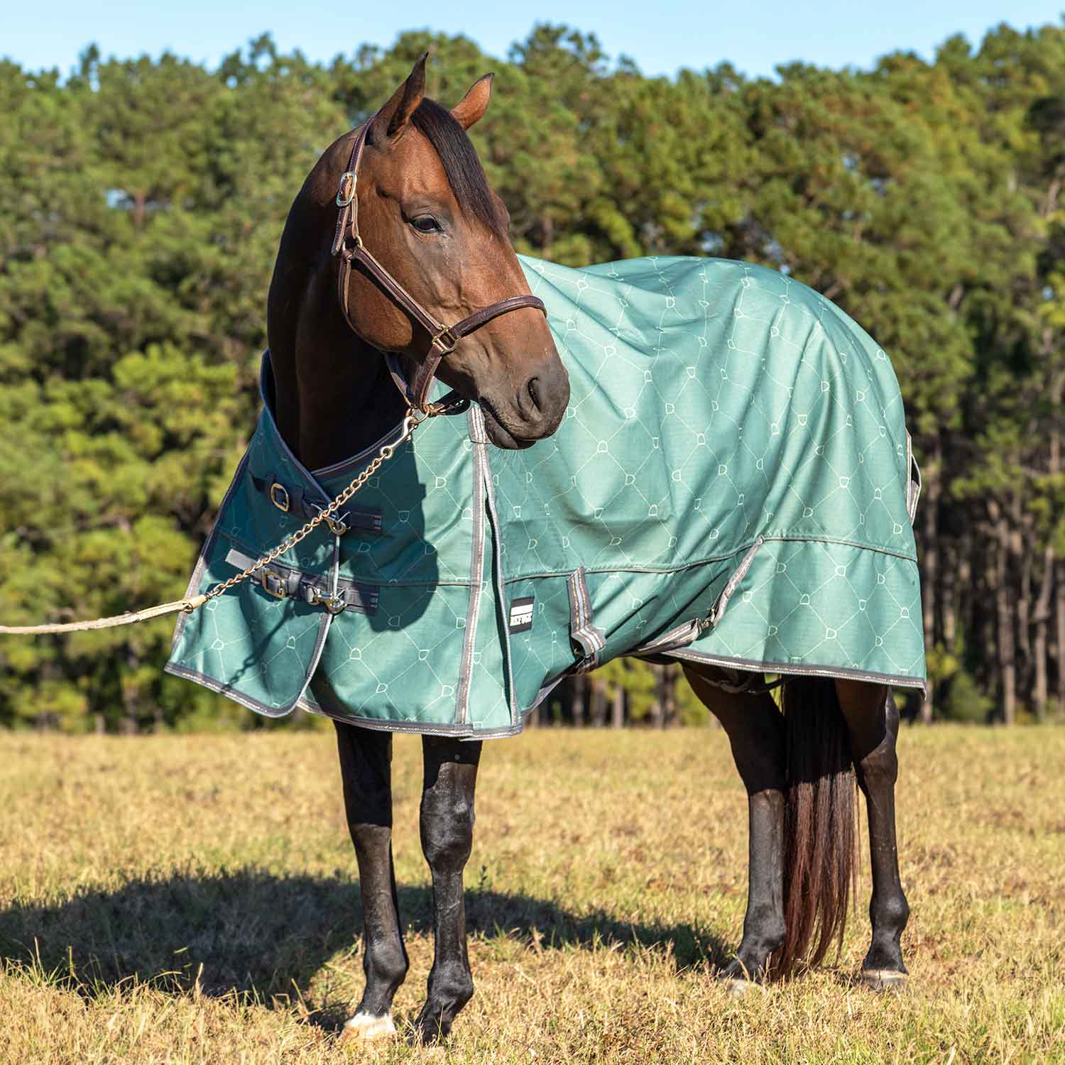 Jeffers Poplar Head Uniquely English 1200D Medium Weight Turnout Blanket, 240g - Waterproof & Breathable Horse Blanket - Image 11