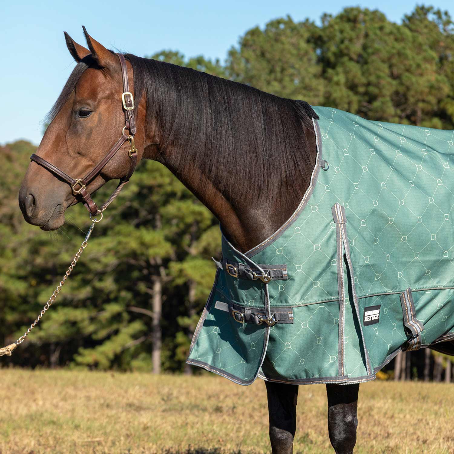 Jeffers Poplar Head Uniquely English 1200D Medium Weight Turnout Blanket, 240g - Waterproof & Breathable Horse Blanket - Image 12