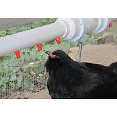 Watering Nipples, 4 Pack - Image 2