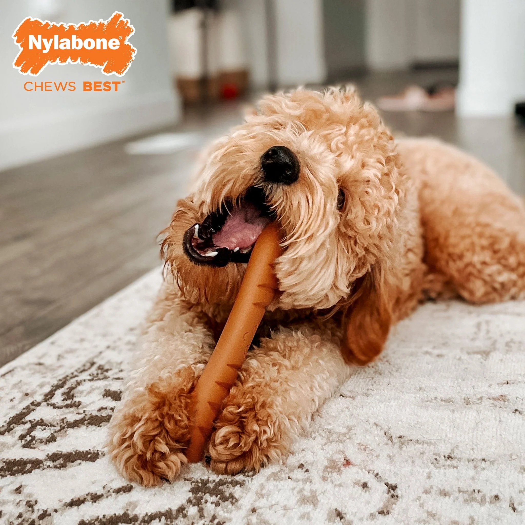 Power Chew Baguette, Chicken, Large/Giant, Up to 50 lbs - Image 5
