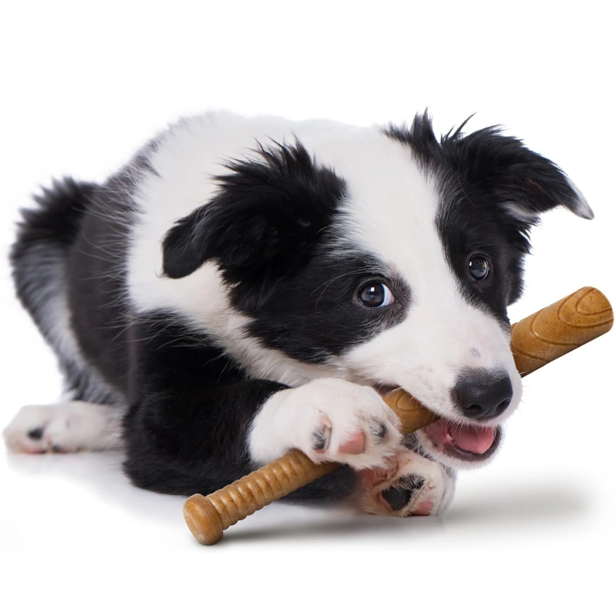 Powerbone Baseball Bat Dog Chew Toy for Power Chewers, 12" - Image 3