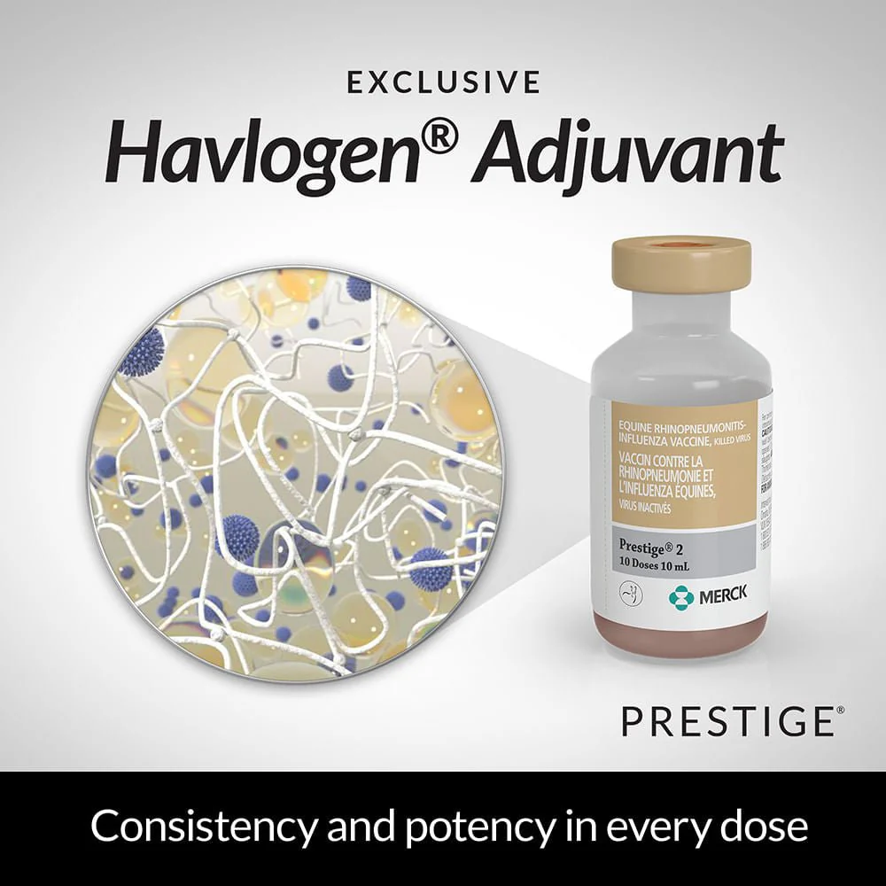 Prestige 2 Horse Vaccine - Image 5