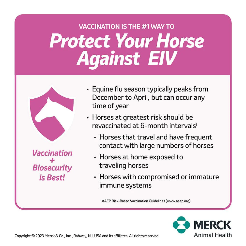 Prestige 5 Horse Vaccine - Image 2