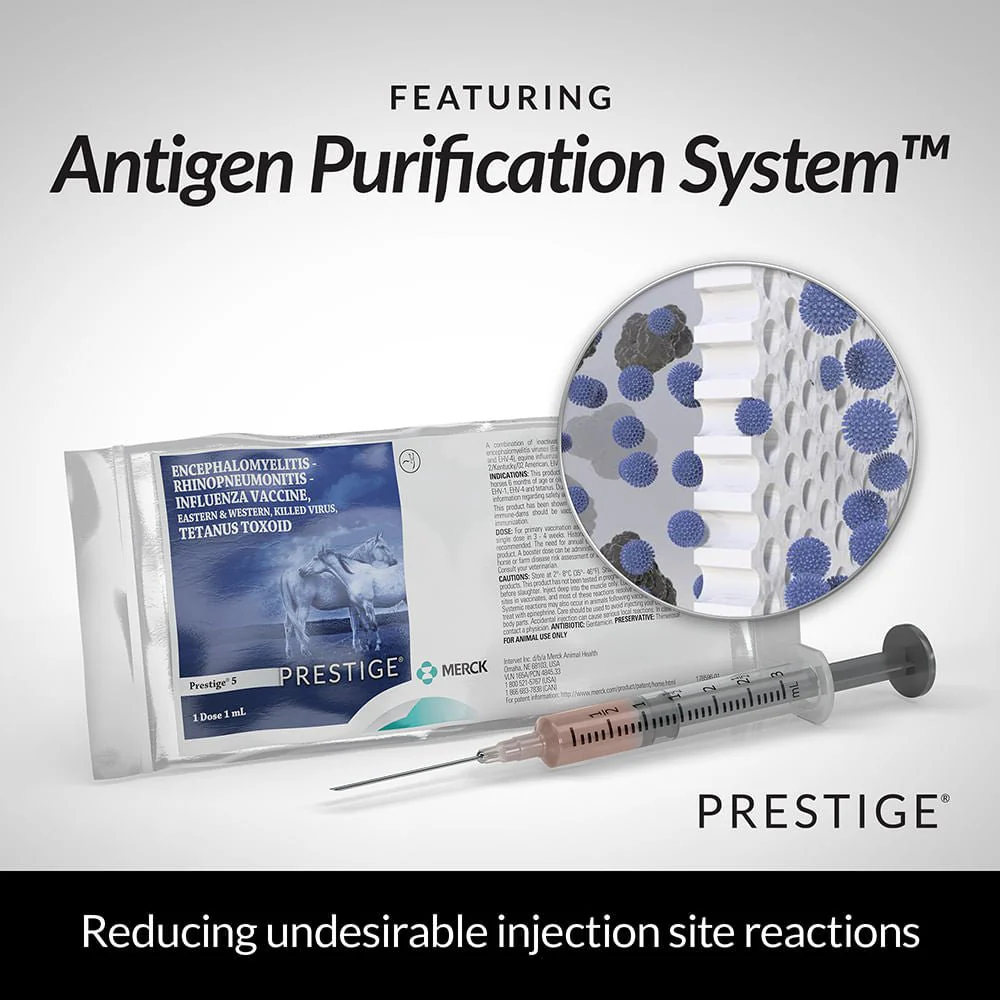 Prestige 5 Horse Vaccine - Image 5