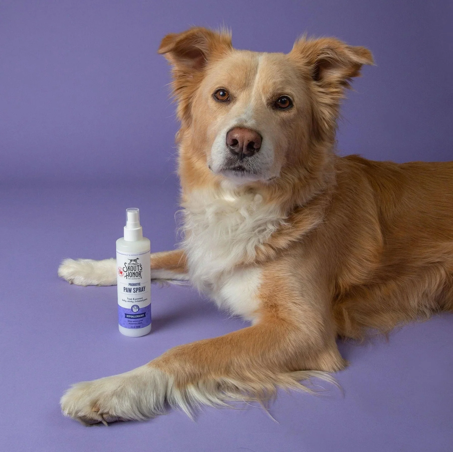 Skout's Honor Probiotic Paw Spray, 8 oz - Image 3