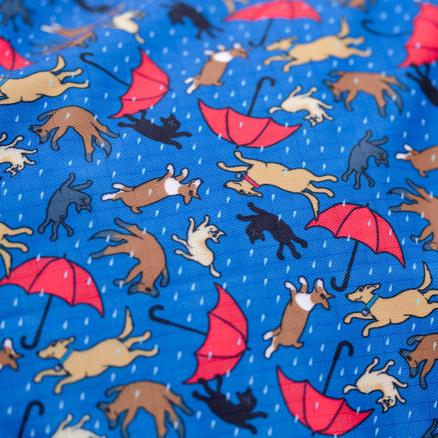 Professional's Choice 1200D Standard Neck Horse Sheet, "Raining Cats & Dogs" - Image 2