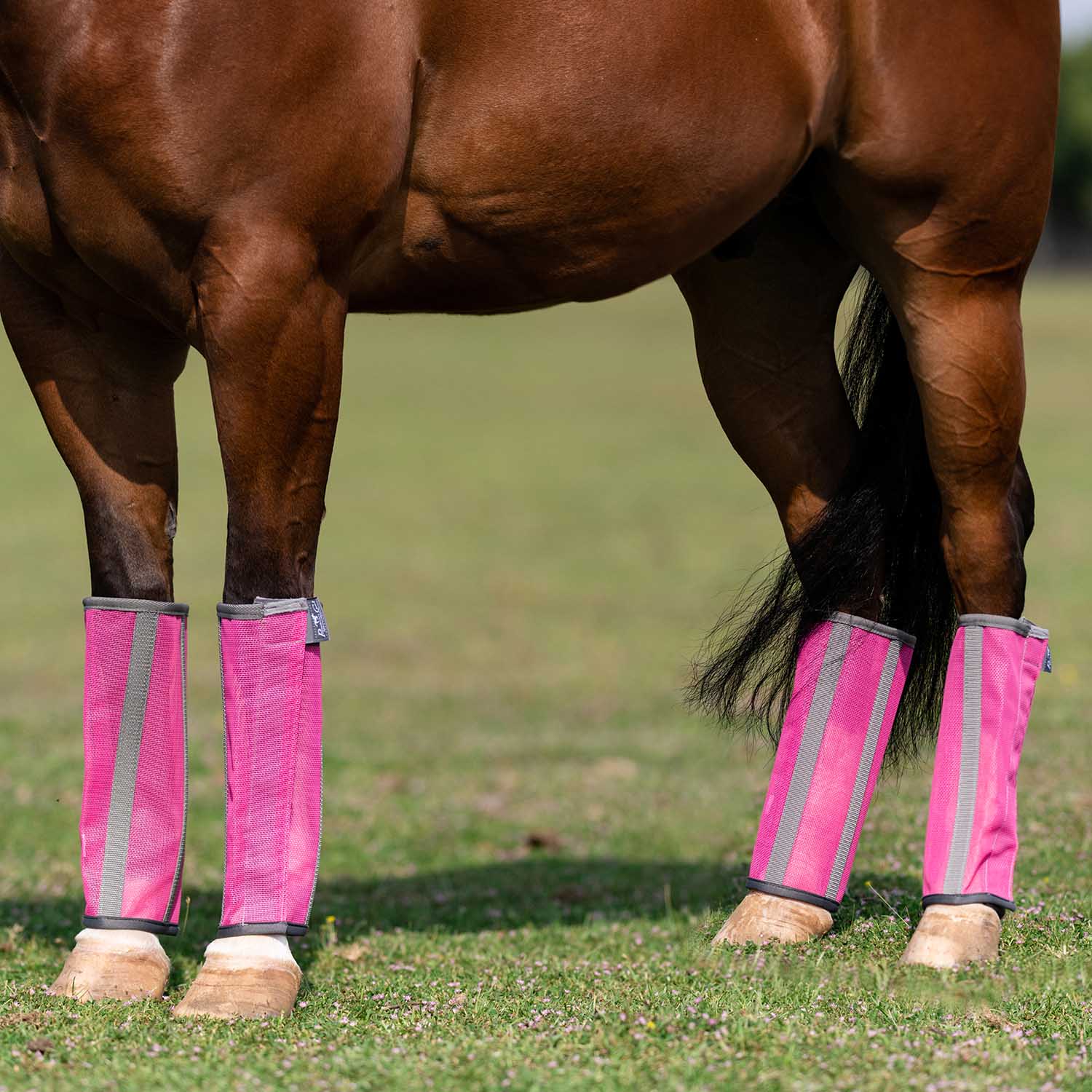 Professional's Choice Deluxe Breathable Mesh Horse Fly Boots, 4 pack - Image 8