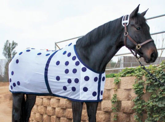 Professional's Choice Dura-Tech Magnetic Horse Therapy Sheet