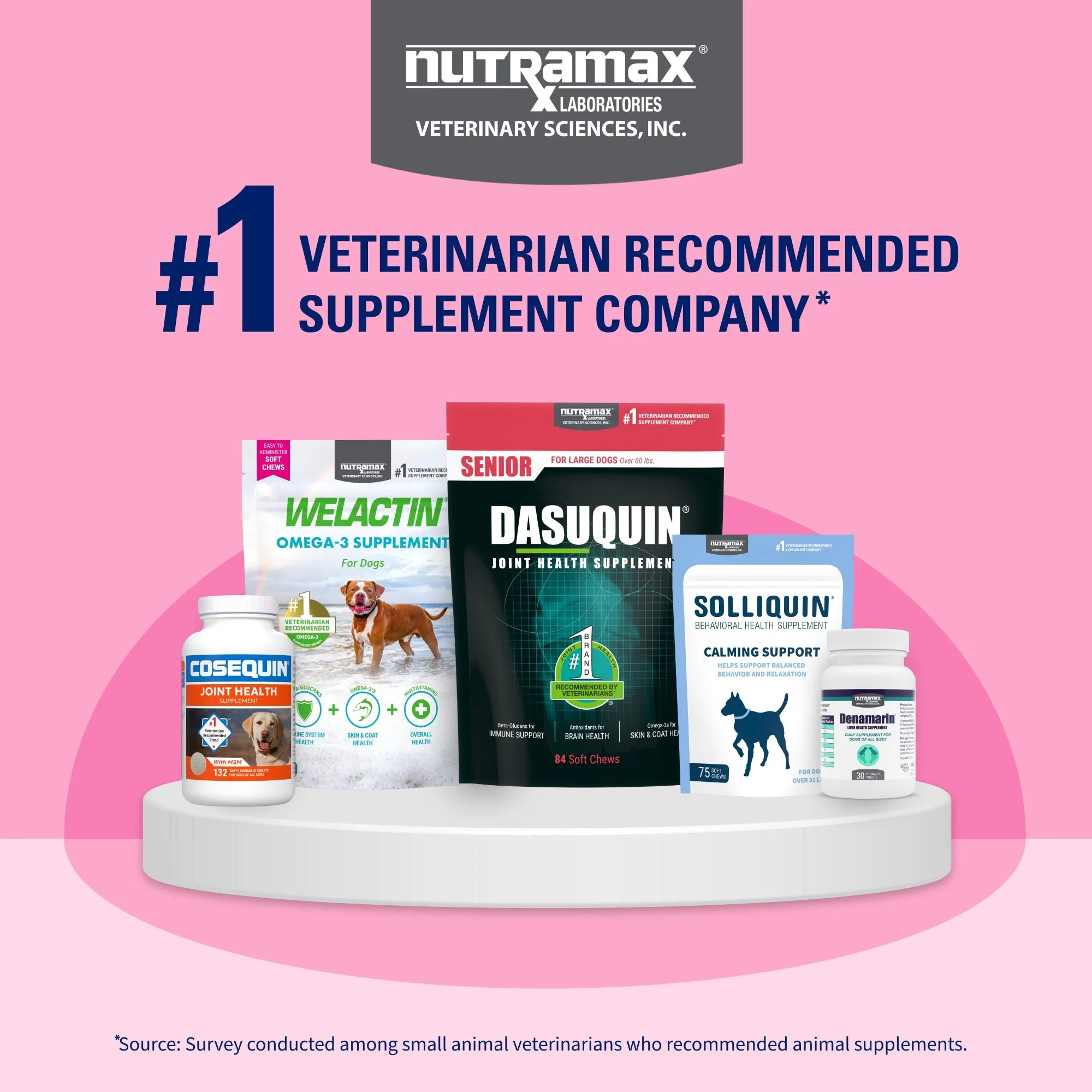 Nutramax Proviable-DC Capsules for Dogs & Cats - Image 10