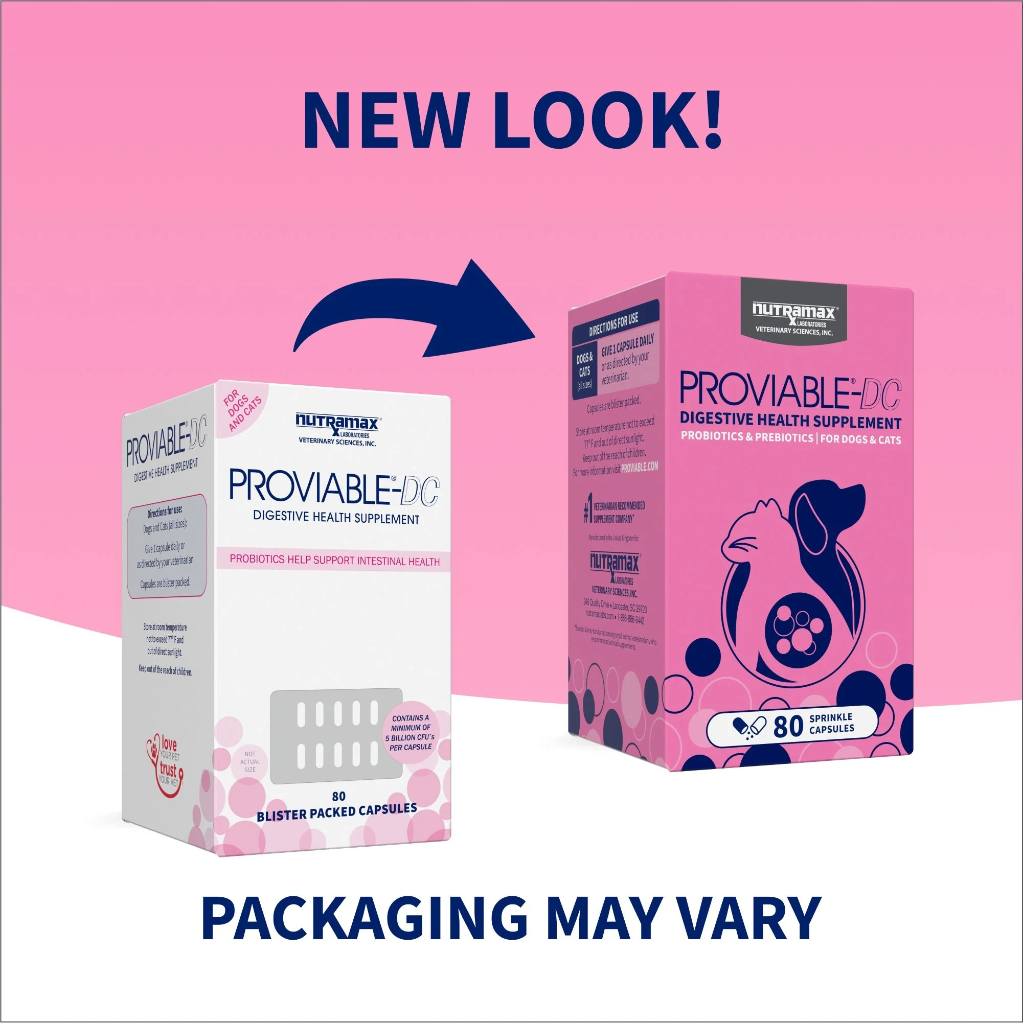 Nutramax Proviable-DC Capsules for Dogs & Cats - Image 13