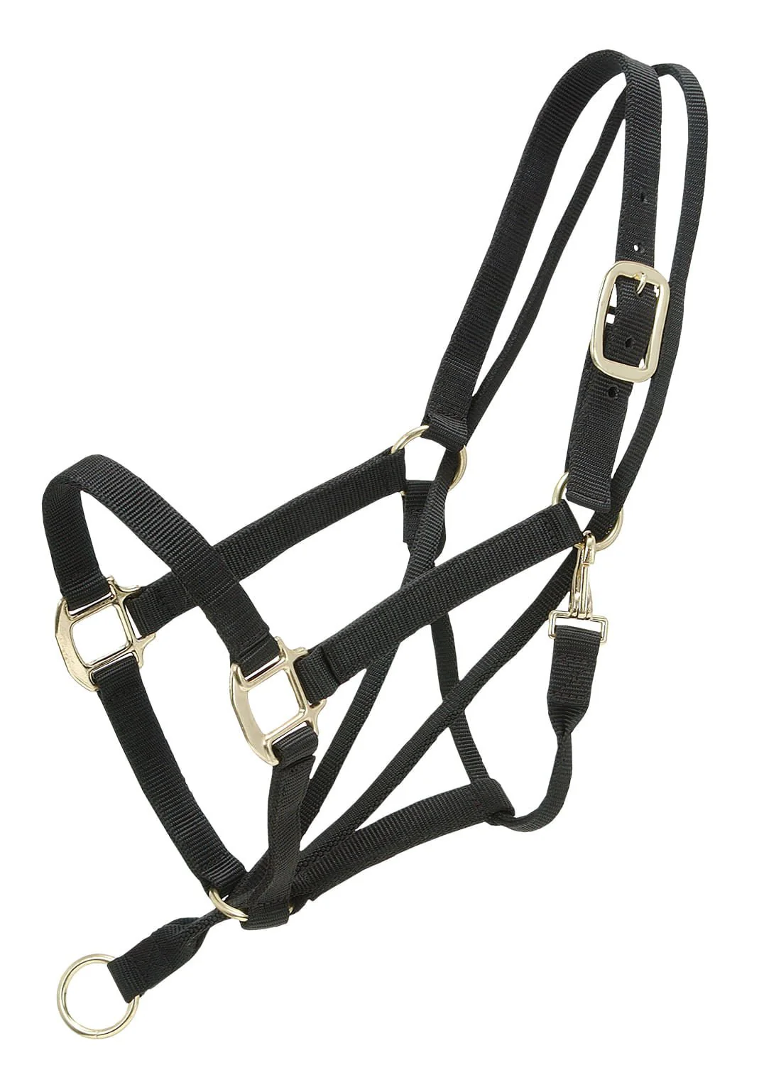 Pull-Back Halter