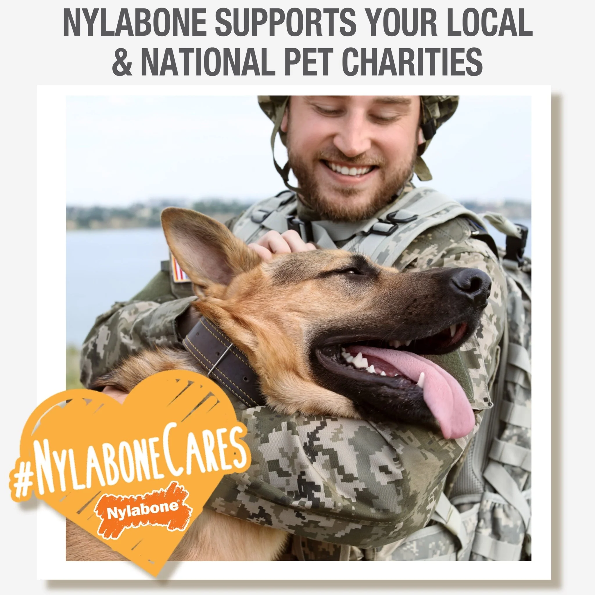 Nylabone Puppy Starter Kit, 3 pack - Image 10