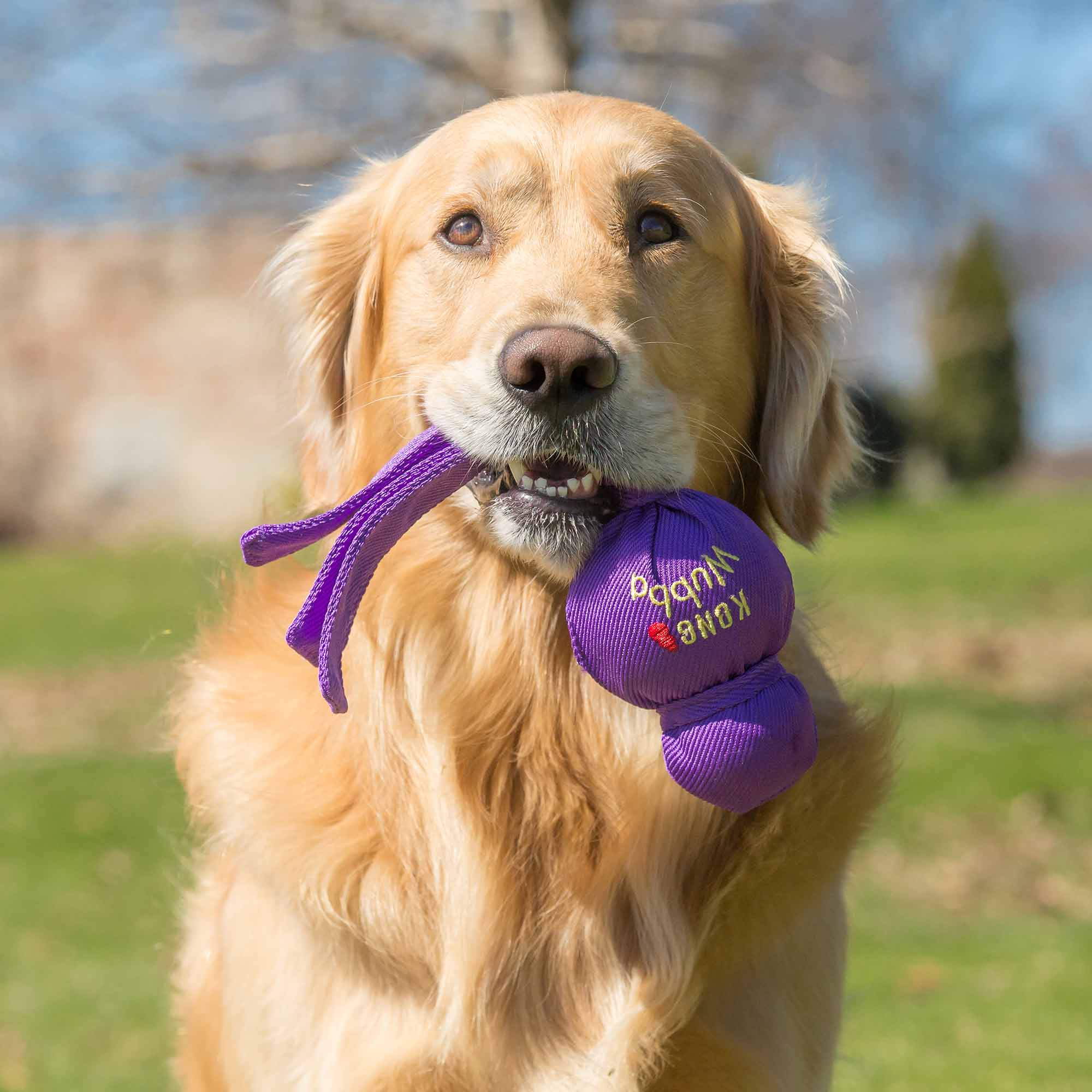 KONG Wubba Dog Toy – Interactive Squeaky Tug & Fetch Toy for Dogs (Assorted Colors, 1 Count) - Image 15