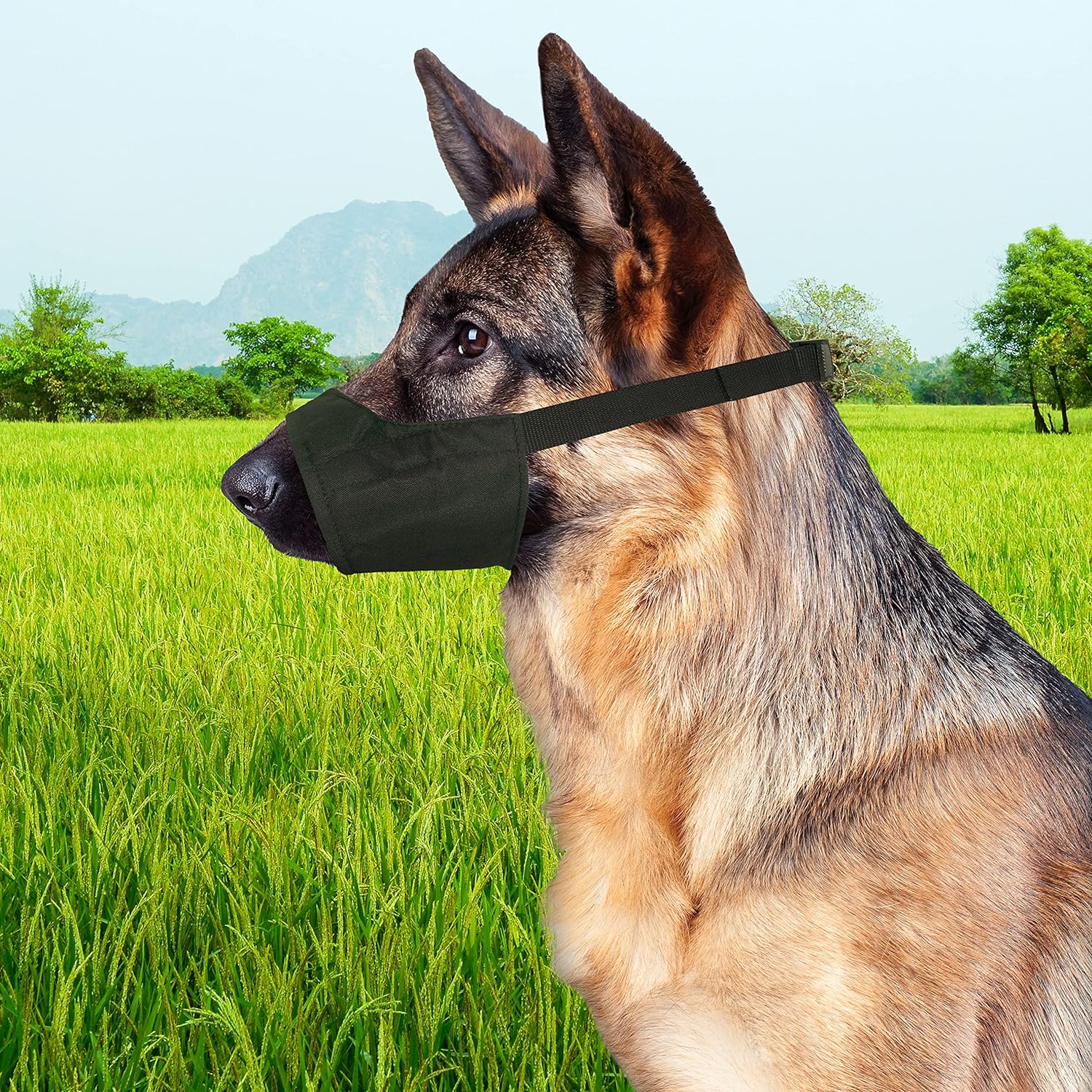Quick-Fit Dog Muzzle by Four Paws - Image 14