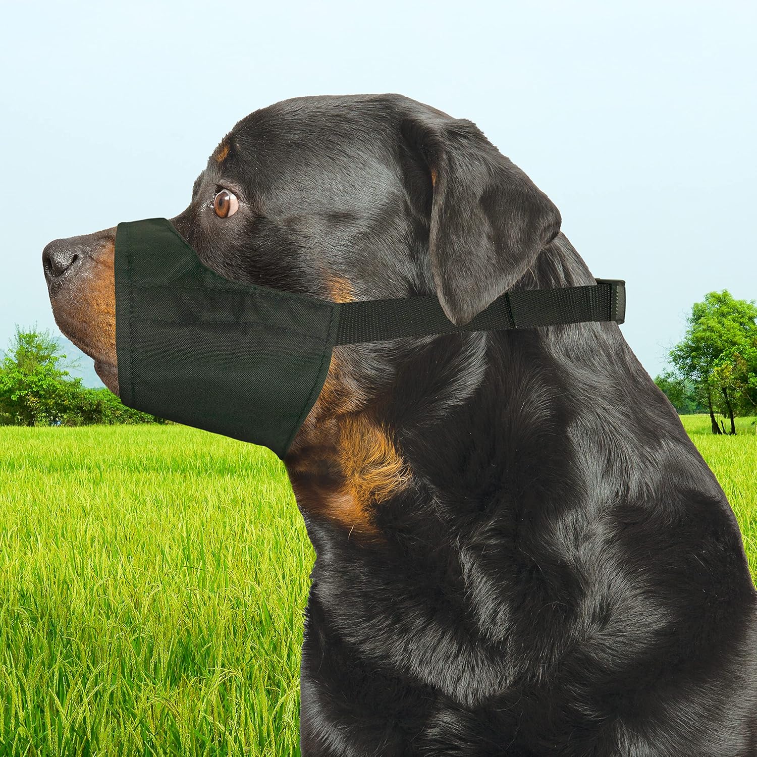 Quick-Fit Dog Muzzle by Four Paws - Image 18