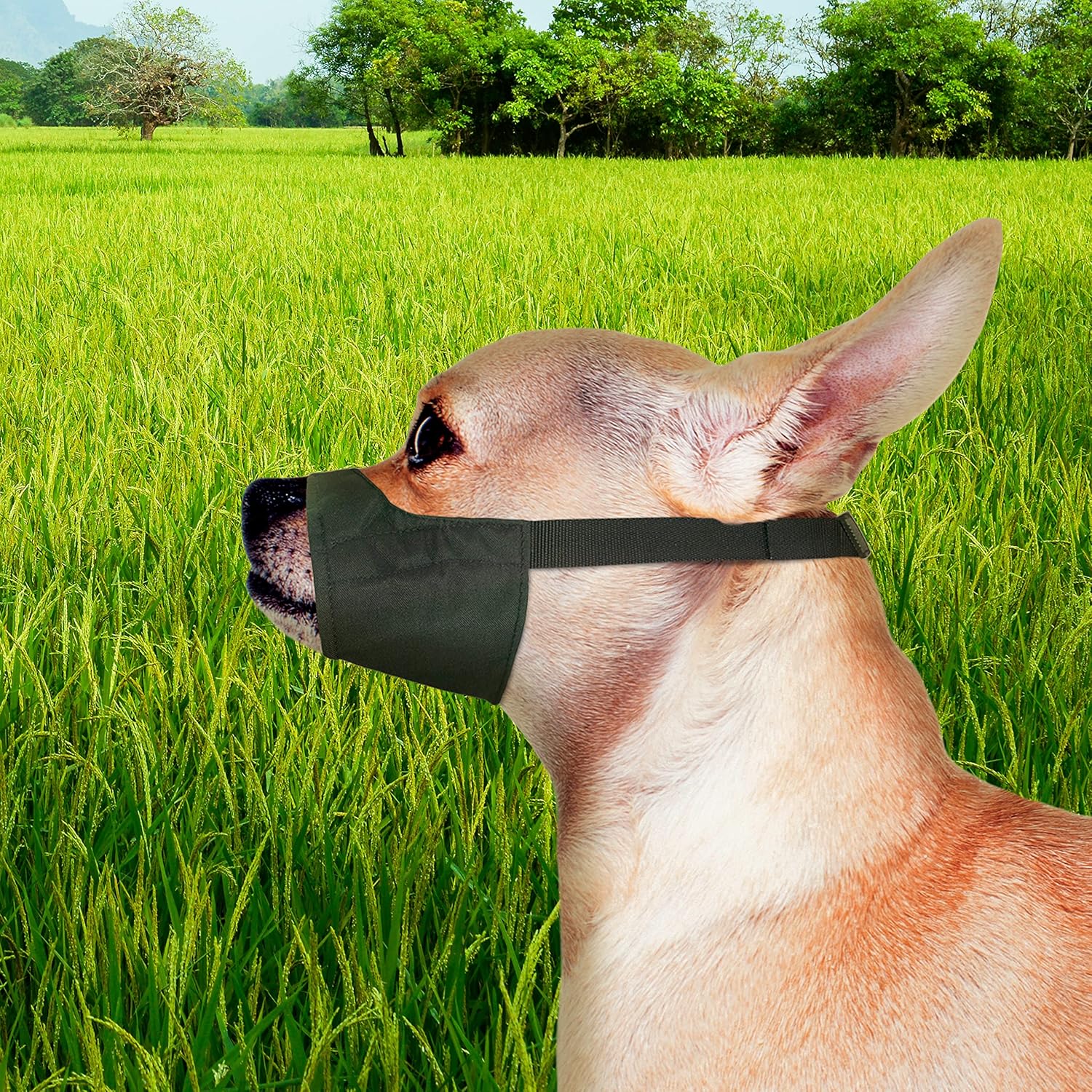 Quick-Fit Dog Muzzle by Four Paws - Image 3