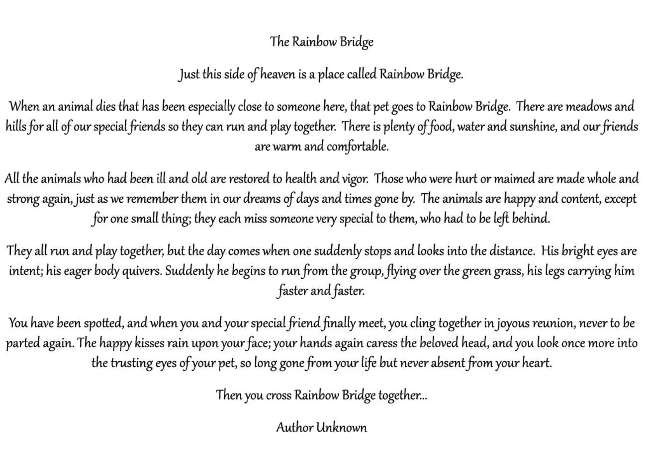 Rainbow Bridge Pet Sympathy Card - Image 3