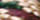Poly Twisted Colors Lead Ropes, 10' - Image 12