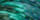 Poly Twisted Colors Lead Ropes, 10' - Image 18