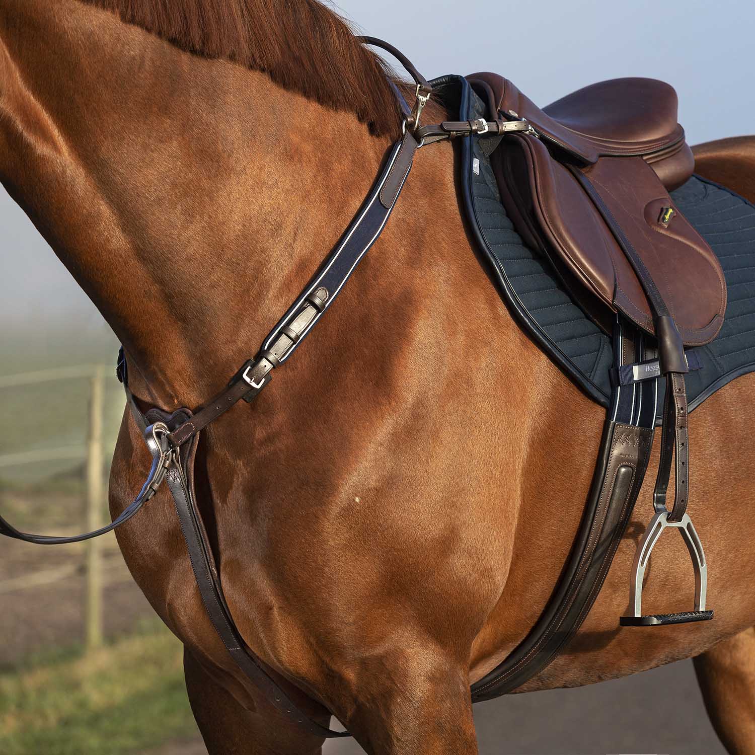 Rambo Micklem Breastplate - Image 11