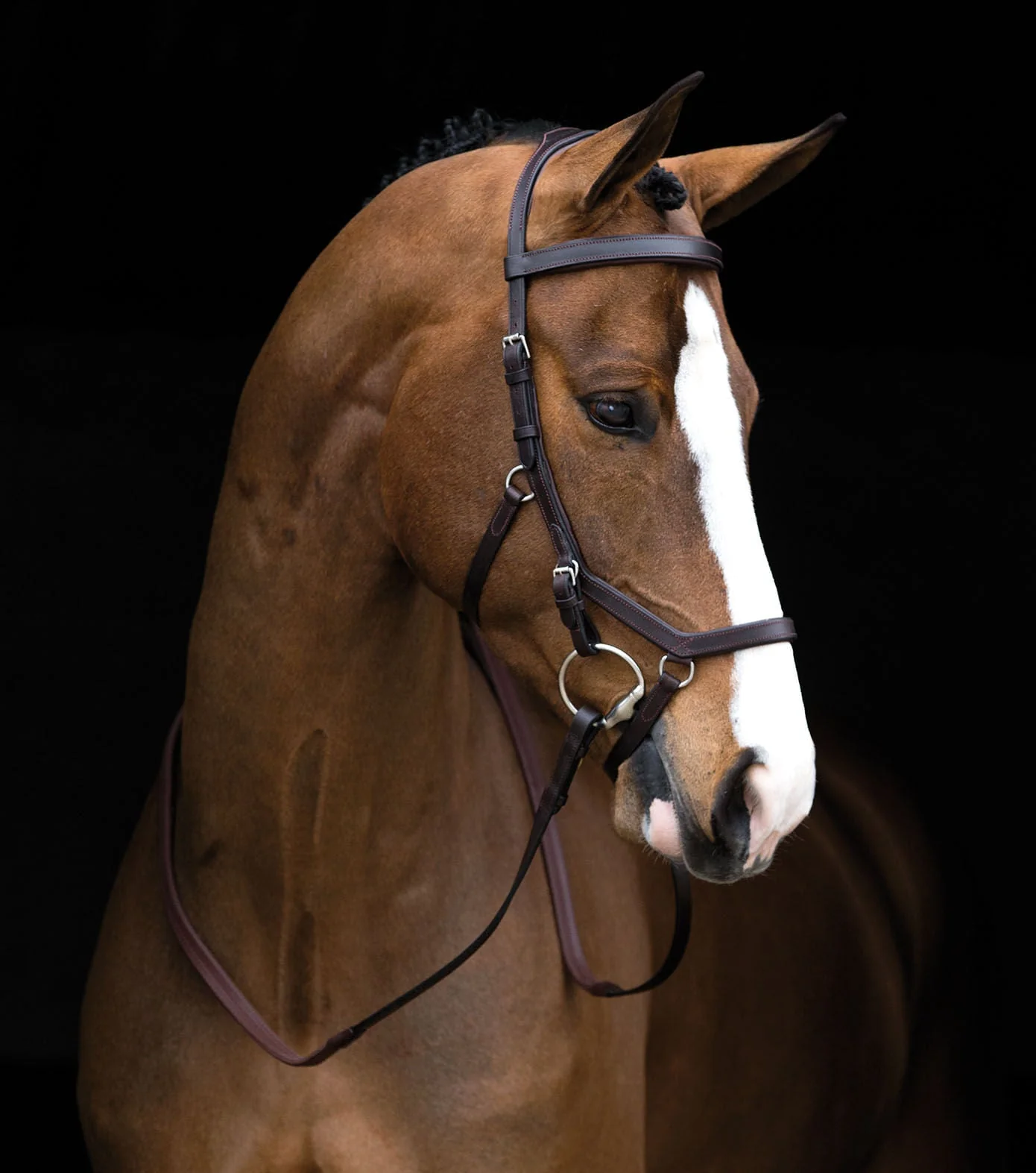 Rambo Micklem Competition Bridle, Dark Havana - Image 4