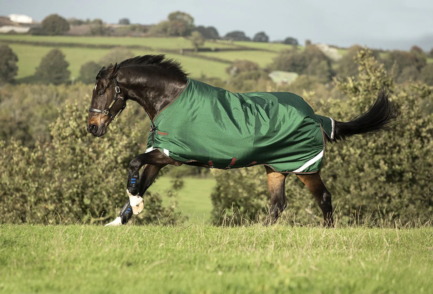Rambo Original Turnout Rug with Leg Arches, 1000D, 100 Gram, Green/Red