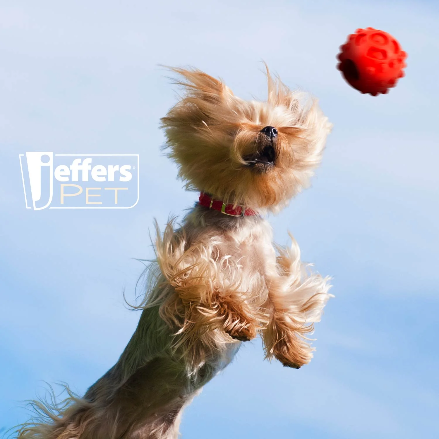 Jeffers Hollow Red Knobby Ball Natural Rubber Dental Treat Dispensing Dog Chew Toy - Image 6