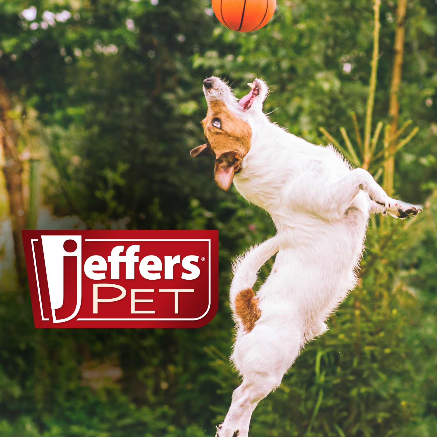 Jeffers Pet Colognes with Coat Conditioner, 16 oz Spray - Image 15