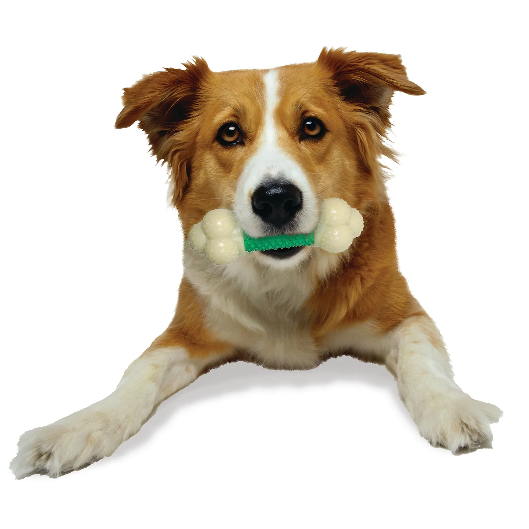 Nylabone Double Action Chew - Image 13
