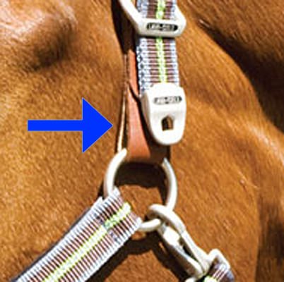 Replacement Tab for Breakaway Halter - Image 3