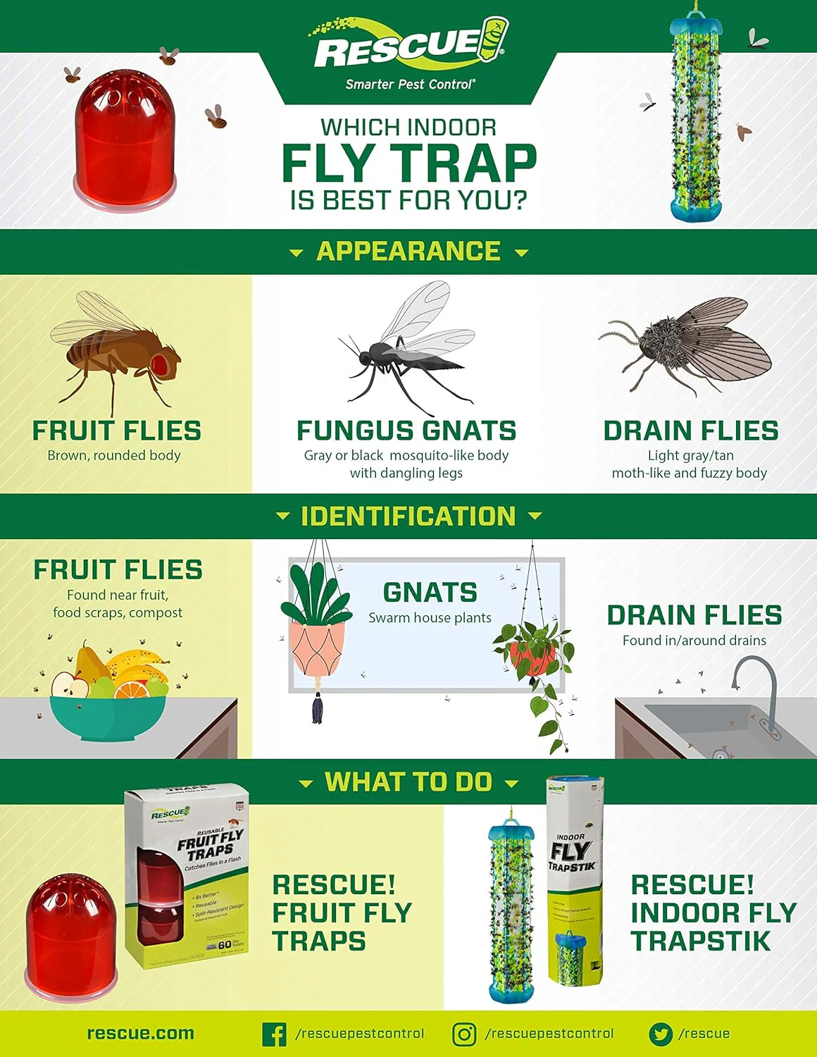 RESCUE! Fruit Fly Trap, 2 pk & Refills – Non-Toxic Reusable Indoor Fly Catcher with Refill Attractant (Safe Around Food) - Image 7