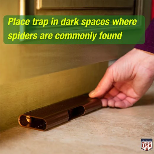 RESCUE! Spider Trap, 3 pk - Image 4