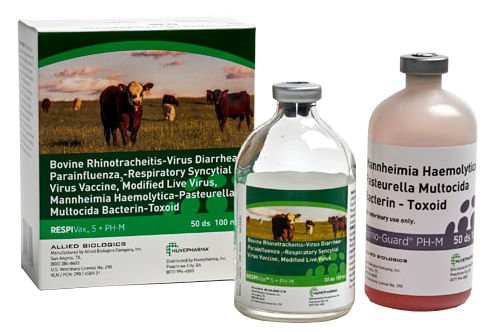 RespiVax 5 + PH-M Cattle Vaccine - Image 2